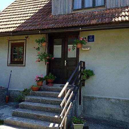 Villa Kuca Za Odmor Lesnica à Brod na Kupi Extérieur photo